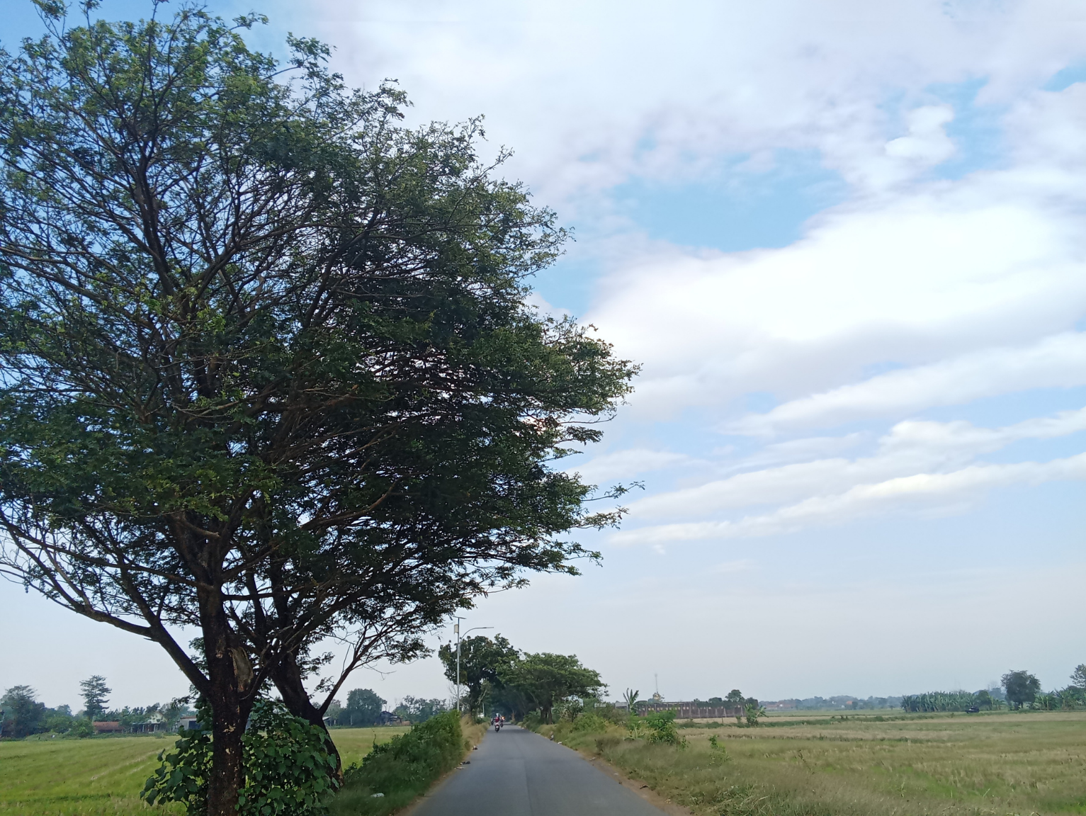 七宗町の産業を活性化するWebサイト