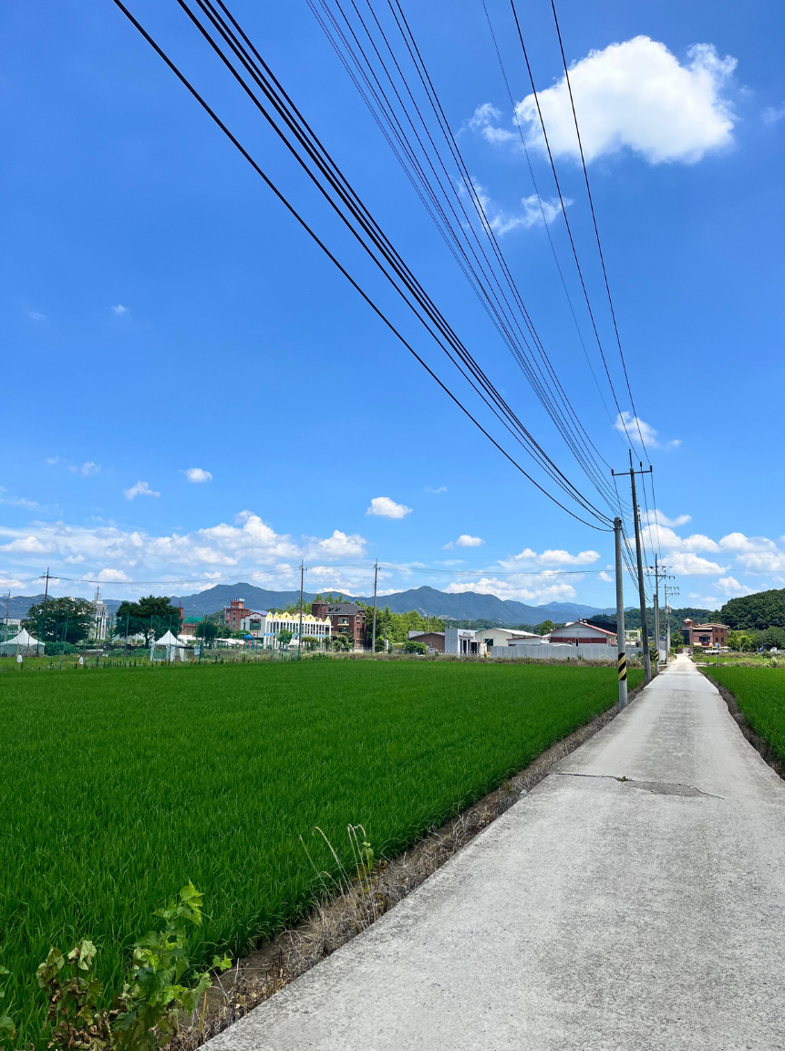 関市の街並みとホームページ制作の親和性